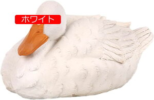 K[fI[ig Aq 킢 u  I[ig K[f _bN  Ђ K[fIuWF K[fjO  킢Aq  K[fjO IuWF G C