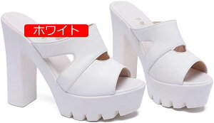 `L[q[ T_  T_ fB[X ~[ T_  q[ ₷ q[ 傫TCY Ȃ T_ s  LoT_ `L[ V[