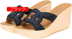 T_ fB[X EFbW\[   ~[ T{ ₷   8cmq[ qE Ip[h  y C V[Y ~ r ₷ ItBXT_ ɂ