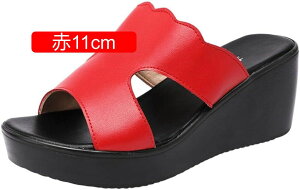  T_ ~[ Vv n fB[X I[vgD EFbW\[    t@bV r JWA t  T{T_ 傫TCY TCY Xg[t