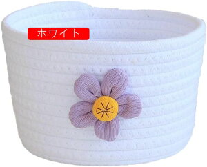 TCY [oXPbg [ 󂩂  [voXPbg Rbg[voXPbg lCr[  [ i` [ Cpc[ [ Ce