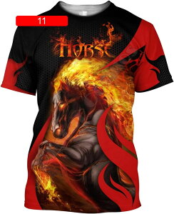 3dvgtVc Y tVc  n   ێ _炩 Snǂ   JWA ? ʋC z 傫TCY  gbvX Jbg\[ jp Xg