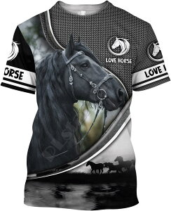 3dvgtVc Y tVc  n   ێ _炩 Snǂ   JWA ? ʋC z 傫TCY  gbvX Jbg\[ jp Xg