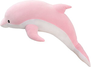 ʂ  킢 sN    Q ӂӂ  160cm l` CJ ʂ A Qׂ CJ  u CeA xbh[ v[