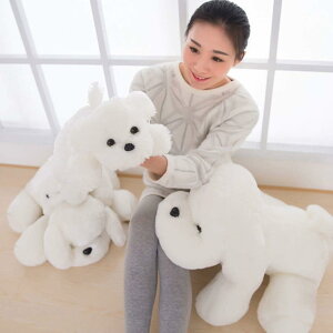 ܂ ʂ   킢 ӂӂ tt ʂ  zCg 傫  40cm  zCg D ܂ YQ  ̎q j̎q q