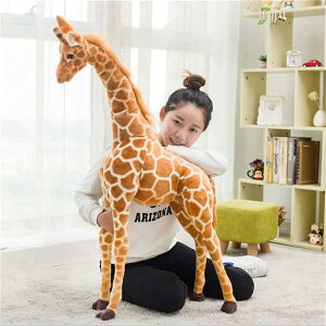 L ʂ A uE ybg 傫 50cm 킢  傫 ʂ   D 傫 iقʂ D  j ӂӂʂ