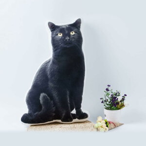 Aʂ NbV ʐ^  IWiNbV G I[_[Ch ybg 40cmA Ƒ Q  u  ӂӂ ₷Q CeA ObY