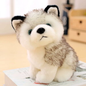 nXL[ ʂ   傫 PP ӂӂ G肢   a LO 蕨 24cm v[g u X  q lp Ԃ ʂ