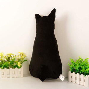 L D  킢 Q ӂӂ 30cm 70cm A V~[Vs[ ʂ ˂ l` ˂ D A ubN {  ybg q a