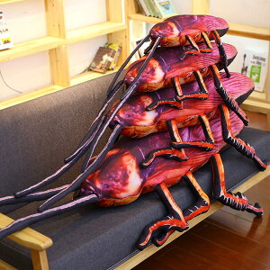SLuʂ  ܂ _炩 { nI 55cm 􂦂     jp Ց蕨  75cm 傫TCY ӂӂ  C