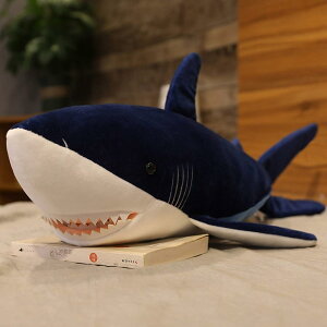 T ʂ    160cm l` T/Lʂ/v[g/j/ӂӂa wj Əj NX}X 蕨  D _[Nu[