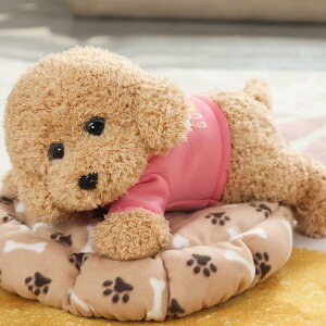 v[h ʂ   60cm gCv[h  A  ʂ X[p[ʂ ۂ CkNbV _炩 YQ @\ ֎q \t@[w 