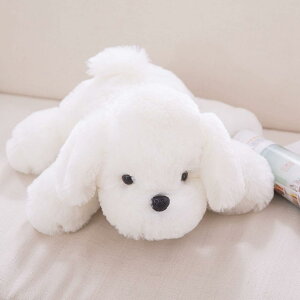 ~ ʂ  ӂӂ 48cm 킢 ]E l`  a LO v[g ~j`L ʂ t O NbV ܂ ʂ  Q 