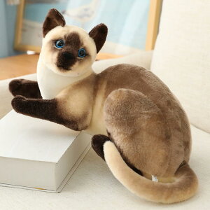 9 ʂ  lR L 40cm u  X^C1 A t@[ lR Lʂ lR L  j ӂӂʂ lR LD N} u^ ӂӂ l`