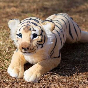 ʂ  ܂     _炩 ӂӂ @\ Q  D l` xbh[ F  l` ̎q j̎q 48cm v[g X j