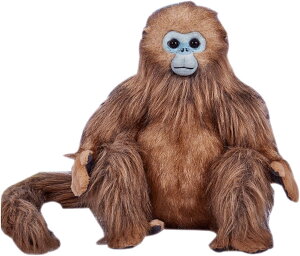 ʂ LVRE  A NbV  ӂӂ Q  LVRE ʂ GG D ԗp X  NX}X v[g a FALSE