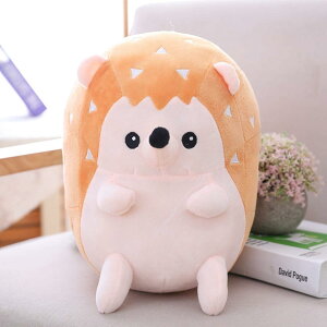 nlY~ ʂ F 30cm v[g Mtg a j  q ̎q j̎q   킢  