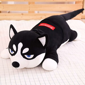  ʂ  N} 傫ʂ  v[g j ӂӂʂ v[g 006 170cm ʂݔޏ NX}X av[g  ʂݓ