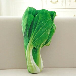  Aʕ ʂ NbV  45cm ӂӂ  Q HX G nI D a Mtg v[g NX}X a 蕨