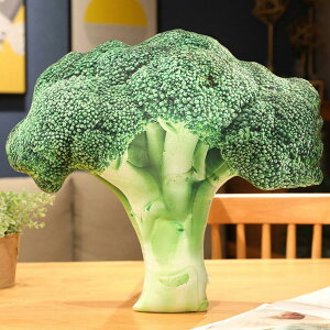 ubR[ ʂ   Aʕ NbV ӂӂ Q HX G nI D a Mtg v[g NX}X a 蕨