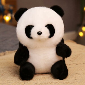 p_@ʂ݁@@NbV@@_炩@ӂӂ@p_̖D݁@QY@@@v[g@LbYMtg@蕨@a@j@Ce