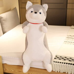 Ckʂ  l`  Č nXL[ D 傫   YQ   ӂӂ X[p[\tg ̎q v[g u X 60cm 1m 1.6m
