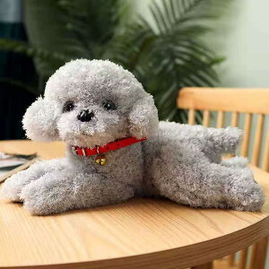  ʂ v[h gCv[h ʂ v~Aps[ v[g 킢 G Mtg CȎe gCv[h VR  v[h ʂ a v