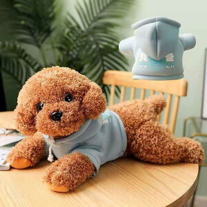  ʂ v[h gCv[h ʂ v~Aps[ v[g 킢 G Mtg CȎe gCv[h VR  v[h ʂ a v