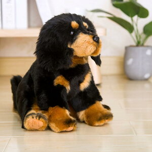 �ʂ������ �� ��������� �{���������� ���A�� �ё����� �Y���Q�� �������� �����܂��� �l�` �ӂ�ӂ� ���ӂ��� �t�@�b�V���� �������� �B�e �G�� ���ʉ� ���Əj�� �q�� ���̎q �j�̎q A 3