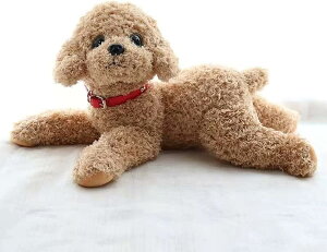  ʂ v[h gCv[h ʂ v~Aps[ v[g 킢 G Mtg CȎe gCv[h VR  v[h ʂ a v