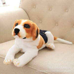 Aʂ _VA ʂ g r[O L[g YQ lC K eBbVP[X Vzj Mtg XgXU bNX CeA  45*18*23cm