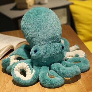 ^Rl` ʂ 킢 ^R  _炩 @\ n j̎q ̎q q LO NX}X 蕨 j a v[g sN O[ 30cm 45cm 90