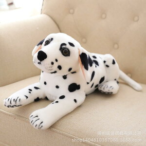 Aʂ _VA ʂ g r[O L[g YQ lC K eBbVP[X Vzj Mtg XgXU bNX CeA  45*18*23cm