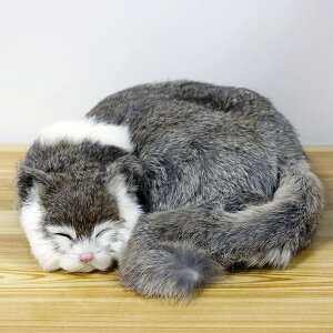 Lʂ u Qׂ ˂ { f CeA  A ii u^   Be ͌^ G  X av[g  q̓ 