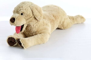  ʂ A  hbO ybg  YQ n 傫 Q }^jeB GG C XgX  킢 qǂ v[g  ԗp 3D e͐