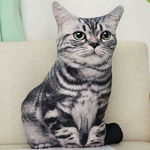 ʂ  lR L  A 傫 Lʂ  j ӂӂʂ LD ӂӂ l` ̎q j̎q FB  ܂ o^C NX}X