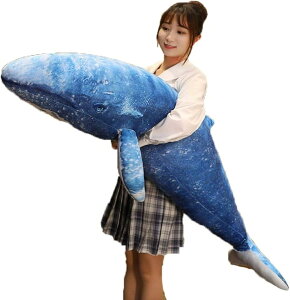  ViKXNW  A ~ ʂ Cm O  Q GG ӂӂ YQNbV GG C  YQ  ԗp NX}X 