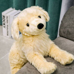 D S[fgo[ A 傫TCY s-L   ӂӃR YQ   GG NbV a v[g ގ ޏ q CeA ԗp