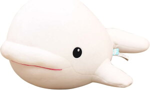 ʂ VCJ  GG ܂ VCJ ܂ ʂ VCJ NbV S ӂ  w YQ 傫 a 蕨 NX}