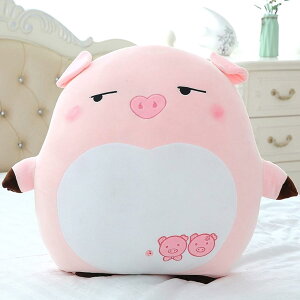  ʂ ܂ ~ NbV O ܂ lC  ʂ 60cm 傫 ӂ     Aj}   