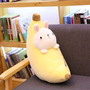  oii ʂ oii  ʂ  ܂ גNbV ӂӂ  60cm ܂ 傫TCY ʂ oii  傫 