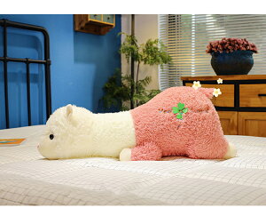  ApJ ʂ ܂ 傫TCY ܂ 100cm גNbV ApJD p ё QNbV O 薍  zCg 킢 G