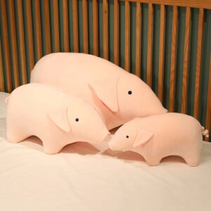   ʂ u^ ܂ Aj} ܂ 60cm   Ԃ  ʂ ܂    NbV   גNbV 