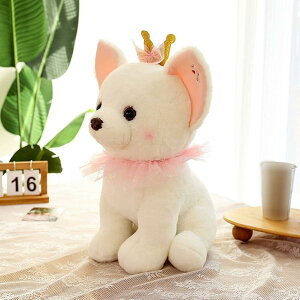  ʂ ` ܂   D 23cm YQ ܂ ` ܂ Q _炩 a 蕨 Ԃ̏ q̑蕨 傫ȕ  