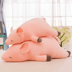  ʂ 킢   ʂ  ܂ Ԃ ʂ 100cm ܂ ʂ   ʂ u^  NbV 蕨 Xu 