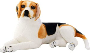  ʂ r[O A   C^A q v[g  Be p  {ɂ 蕨 -75cm