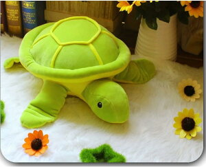  ʂ CeA^Cv 킢 G T u NbV a D 40cm O[ oYj  FB 킢 o^C  l`  ӂӂ 傫