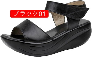 EFbWT_ ItBXT_ ~[ r 5cm q[ y  fB[X Vv ₷ [q[ d ItBX JWA  T_ EFbW\[ T{ 