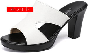 ~[ fB[X ~[ ~[T_ q[ Vv I[vgD nCq[ ₷  r 傫TCY ₷ ItBXT_ ʋ tH[} I