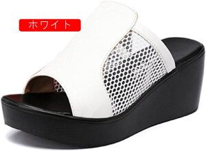 T_ fB[X q[ EGbW\[ 킢 TCY ₷ Ȃ ~[ 6cm q[ T{ I[vgD  ubN O XChT_ ~[ Ȃ n